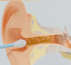 Ditch The Cotton Bud
